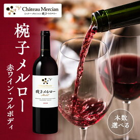 【ふるさと納税】ワイン 椀子メルロー 750ml シャトー・メルシャン メルロー 赤ワイン フルボディ お酒 酒 アルコール ギフト 贈り物 プレゼント　 上田市 　お届け：30日以内に発送いたします