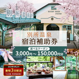 【ふるさと納税】宿泊券 長野 別所温泉 選べる 金額 ギフト券 券 チケット クーポン 旅行 観光 宿泊