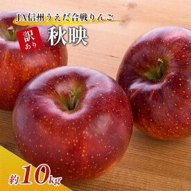 【ふるさと納税】訳あり りんご JA信州うえだ 合戦りんご 秋映 約10kg リンゴ 林檎 果物 くだもの フルーツ 信州 長野 離乳食 訳アリ わけあり 傷　お届け：2026年9月下旬～10月上旬頃に順次発送予定