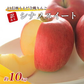 【ふるさと納税】訳あり りんご JA信州うえだ 合戦りんご シナノスイート 約10kg リンゴ 林檎 果物 くだもの フルーツ 信州 長野 離乳食 訳アリ わけあり 傷　お届け：2025年10月中旬から10月下旬まで