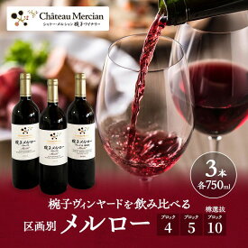 【ふるさと納税】限定 年ヴィンテージの限定品区画別メルロー 3本 セット メルロー 750ml 赤ワイン お酒 酒 アルコール 飲み比べセット ギフト 贈り物 プレゼント　お届け：30日以内に発送いたします