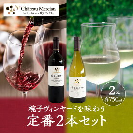 【ふるさと納税】ワイン 椀子ヴィンヤードを味わう 定番 2本 セット 赤ワイン 白ワイン 酒 アルコール　お届け：30日以内に発送いたします