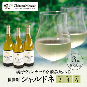 【ふるさと納税】限定 ワイン 椀子ヴィンヤードを飲み比べるシャルドネ区画別 3本 セット 椀子シャルドネ 750ml シャルドネ 白ワイン お酒 酒 アルコール 飲み比べセット ギフト 贈り物 プレ