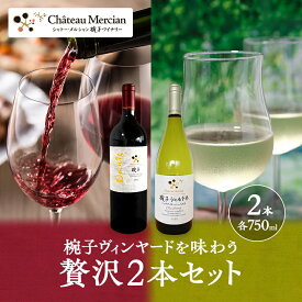 【ふるさと納税】限定 ワイン 椀子ヴィンヤードを味わう贅沢 2本 セット 椀子オムニス 椀子シャルドネ ミッドナイト・ハーベスト 白ワイン 赤ワイン お酒 酒 アルコール 飲み比べセット ギフト 贈り物 プレゼント　お届け：30日以内に発送いたします
