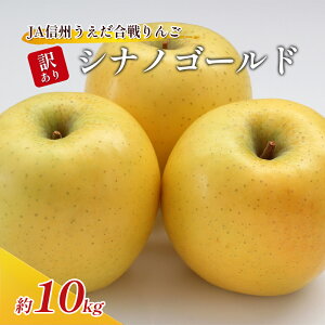 yӂ邳Ɣ[Łz󂠂  JAMB  VimS[h 10kg S ь ʕ  t[c MB  H A 킯 @͂F2025N10{11