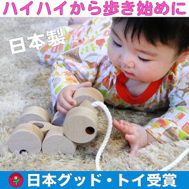 【ふるさと納税】木のおもちゃ/六輪車（ミニ) 日本製 プルトーイ 引き車 誕生日 出産祝い 赤ちゃん おもちゃ 木育 車 プレゼント 木製　【上田市】　お届け：20日以内に発送いたします