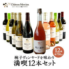 【ふるさと納税】ワイン 椀子ヴィンヤードを味わう満喫 12本 セット 750ml シャトー・メルシャン 赤ワイン フルボディ 白ワイン 辛口 お酒 酒 アルコール 飲み比べセット ギフト 贈り物 プレゼント　【定期便・ 上田市 】