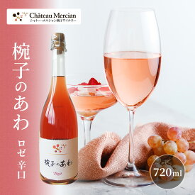 【ふるさと納税】スパークリングワイン 椀子のあわ ロゼ 辛口 750ml ギフト シャトーメルシャン椀子ワイナリー シャトーメルシャン ワイン お酒 酒 アルコール 家飲み 宅飲み お祝い 記念日 贈り物 プレゼント 信州 長野 長野県 上田市