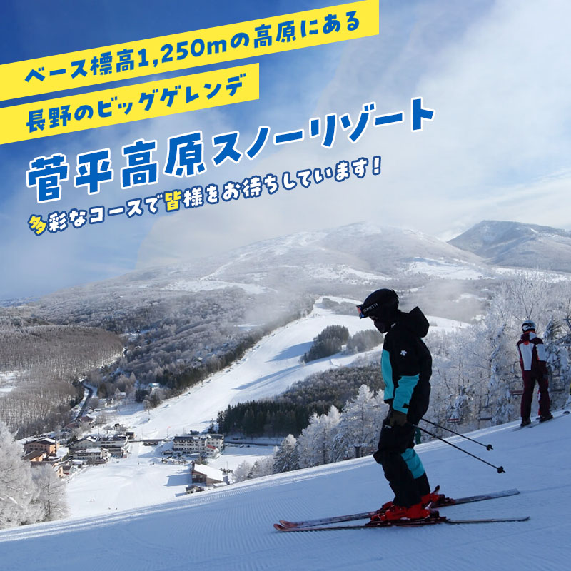 菅平高原スキー場 奥ダボススノーパーク リフト無料券