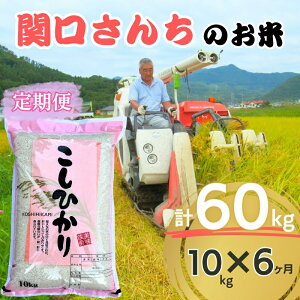 yӂ邳Ɣ[Łz  6 ֌񂿂̂ RVqJ 10kg   R    Ђ  MB 6 N y