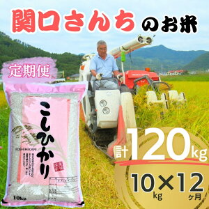 yӂ邳Ɣ[Łzu֌񂿂̂āvRVqJ10kg 12