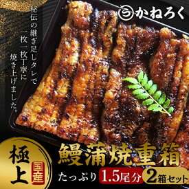 【ふるさと納税】鰻蒲焼重箱「極上」2個セット 山椒・漬物付き　ギフト ウナギ 鰻 蒲焼 国産 国内産 プレゼント 誕生日 お歳暮 上田市 コシヒカリ グルメ 贅沢　【 魚料理 和食 日本食 】