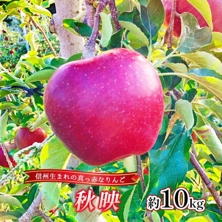 楽天市場】【ふるさと納税】りんご 秋映 約10kg 林檎 リンゴ  
