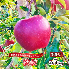 【ふるさと納税】訳あり りんご 秋映 約5kg 林檎 リンゴ 5kg 果物 くだもの フルーツ デザート 旬の果物 旬のフルーツ 訳アリ 長野県 長野　お届け：2025年9月下旬～10月中旬