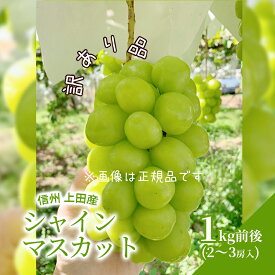 【ふるさと納税】訳あり シャインマスカット 1kg前後 2～3房 ぶどう 葡萄 ブドウ マスカット 1kg 果物 くだもの フルーツ デザート 旬の果物 旬のフルーツ 訳アリ 長野県 長野　お届け：2025年9月上旬～10月中旬