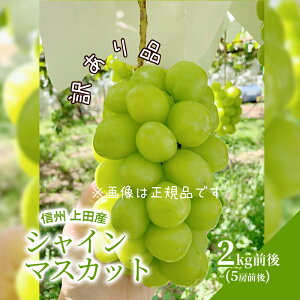 yӂ邳Ɣ[Łz󂠂 VC}XJbg 2kgO 4[O Ԃǂ  uhE }XJbg 2kg ʕ  t[c fU[g {̉ʕ {̃t[c A 쌧 @͂F2025N