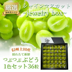 yӂ邳Ɣ[Łz2025Ns\ IIVC}XJbgjewelry box MBcYԂǂ ԂԂԂǂ 1F Zbg 36 lߍ킹 Ԃǂ }XJbg t[c {̉ʕ  @͂