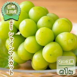 yӂ邳Ɣ[ŁzVC}XJbg MBcY 2[`3[ 1kg Ԃǂ  uhE }XJbg 1kg ʕ  t[c fU[g {̉ʕ {̃t[c 쌧 @͂F2025N9