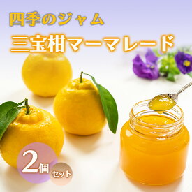 【ふるさと納税】ジャム 長野 四季のジャム 三宝柑 マーマレード 2個 セット 飯島商店 スライスした皮入り みかんジャム みかん 柑橘 朝ごはん 朝食 パン フルーツ 果物 デザート スイーツ ギフト プレゼント 贈答 贈り物 調味料 長野県 上田市 上田