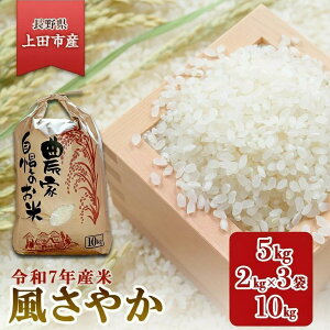 yӂ邳Ɣ[Łz ߘa7NY  ₩ eʑIׂ 5kg 2kg×3 10kg     IWi uh ₩ MB 쌧 cs c@͂Foׂ܂1