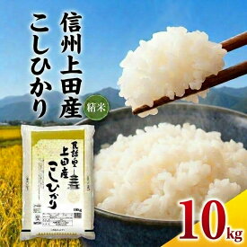 【ふるさと納税】米 コシヒカリ 10kg お米 白米 精米 単一原料米 ブランド米 銘柄米 10キロ 令和7年産 長野県産 長野 長野県 上田市　お届け：2026年9月30日までにお届け
