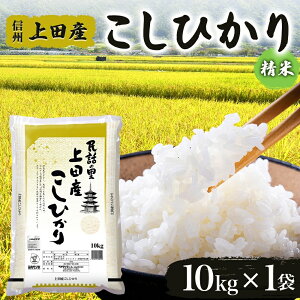 yӂ邳Ɣ[Łzߘa6NY 쌧 MB csY Ђ 10kg×1 v10kg   uh  RVqJ  CX ٓ ɂ H Y {Y aH 