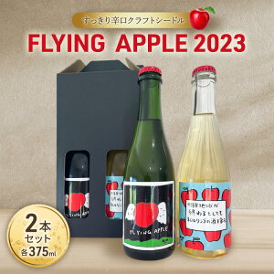 yӂ邳Ɣ[ŁzFLYING APPLE 2023 2{Zbg C   R{ Zbg cs