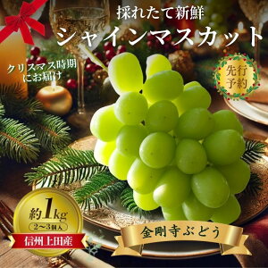 yӂ邳Ɣ[Łz2025Ns\@NX}Xɂ͂I VC}XJbg MBcYԂǂ 1kg 2`3[ Ԃǂ  uhE }XJbg 1kg ʕ  t[c fU[g {