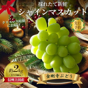 yӂ邳Ɣ[Łz2025Ns\@NX}Xɂ͂I VC}XJbg MBcYԂǂ 2kg 4`5[ Ԃǂ  uhE }XJbg 2kg ʕ  t[c fU[g {