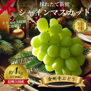 yӂ邳Ɣ[Łz2025Ns\@NX}Xɂ͂I VC}XJbg MBcYԂǂ 4kg 8`10[ Ԃǂ  uhE }XJbg 1kg ʕ  t[c fU[g {