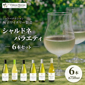 【ふるさと納税】ワイン シャトー・メルシャン 椀子ワイナリー製造 シャルドネ バラエティ 6本 セット