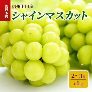 yӂ邳Ɣ[ŁzVC}XJbg MBcY 1kg 2`3[ Ԃǂ uhE  }XJbg 1kg ʕ  t[c fU[g {̉ʕ {̃t[c 쌧  cs@͂F2025