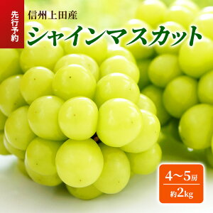 yӂ邳Ɣ[ŁzVC}XJbg MBcY 2kg 4`5[ Ԃǂ uhE  }XJbg 2kg ʕ  t[c fU[g {̉ʕ {̃t[c 쌧  cs@͂F2025