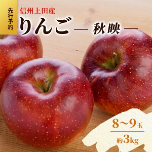 yӂ邳Ɣ[Łz MBcY Hf ƒp 3kg 8`9 S ь 3kg ʕ  t[c fU[g {̉ʕ {̃t[c  쌧  cs@͂F2025N10{`{