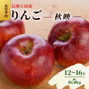 yӂ邳Ɣ[Łz MBcY Hf ƒp 5kg 12`16 S ь 5kg ʕ  t[c fU[g {̉ʕ {̃t[c  쌧  cs@͂F2025N10{`{
