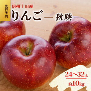yӂ邳Ɣ[Łz MBcY Hf ƒp 10kg 24`32 S ь 10kg ʕ  t[c fU[g {̉ʕ {̃t[c  쌧  cs@͂F2025N10{`