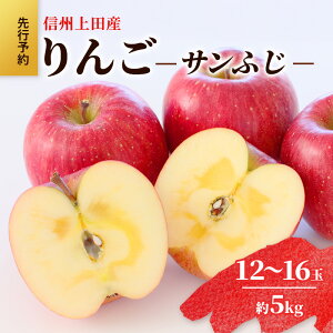 yӂ邳Ɣ[Łz MBcY Tӂ ƒp 5kg 12`16 S ь 5kg TtW ʕ  t[c fU[g {̉ʕ {̃t[c  쌧  cs@͂F2025N1