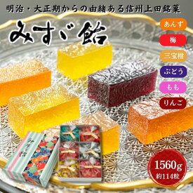 【ふるさと納税】みすゞ飴箱入　特大　銘菓 林檎 ゼリー 和菓子 お菓子 菓子 スイーツ りんご 長野 信州