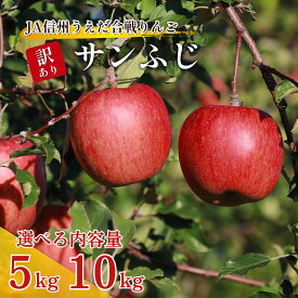 【ふるさと納税】選べる容量 訳あり りんご 5kg 10kg JA信州うえだ 合戦りんご サンふじ リンゴ 林檎 ふじ 果物 くだもの フルーツ 信州 長野 離乳食 訳アリ わけあり 傷