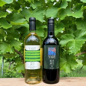 yӂ邳Ɣ[Łzy쌧csYԂǂ100zVART ԃC{CZbg@͂F2025N12{܂