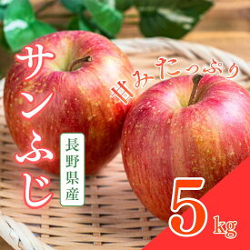 【ふるさと納税】【2026年産・先行予約】サンふじ　5kg　りんご リンゴ 林檎 果物 フルーツ 長野　お届け：2026年12月上旬～2027年2月中旬まで