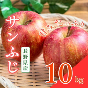 �y�ӂ邳�Ɣ[�Łz�T���ӂ��@10kg�@��� �����S �ь� �ʕ� �t���[�c ����@���͂��F2025�N12����{�`2026�N2�����{�܂�