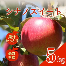 【ふるさと納税】シナノスイート　5kg　りんご リンゴ 林檎 果物 フルーツ 長野　お届け：2026年10月中旬～10月下旬