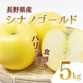 【ふるさと納税】シナノゴールド　5kg　りんご リンゴ 林檎 果物 フルーツ 長野　お届け：2026年10月下旬～11月中旬まで