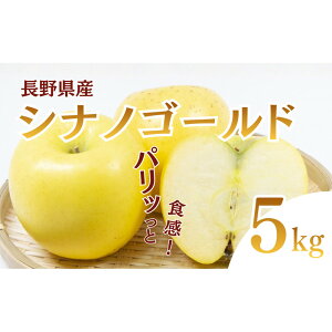 yӂ邳Ɣ[ŁzVimS[h@5kg@ S ь ʕ t[c @͂F2026N10{`11{܂