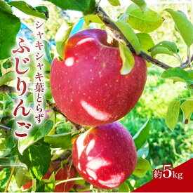 【ふるさと納税】シャキシャキ葉とらず ふじりんご 約5kg 特別栽培農産物 長野県産 りんご リンゴ フルーツ 果物 おやつ デザート 信州 上田 家庭用　お届け：2026年11月上旬より順次発送