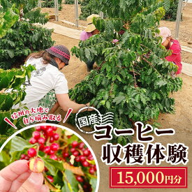 【ふるさと納税】信州の大地で、自ら摘み取る「国産コーヒー収穫体験3名様分」15,000円分 コーヒーチェリー 収穫 試飲 体験 信州