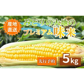 【ふるさと納税】【先行予約】とうもろこし プレミアム味来 みどりの大地 5kg（8～12本入り） 茹でとうもろこし スイートコーン ミラクルコーン 甘いコーン 野菜 長野県 信州 上田　お届け：2026年7月下旬～9月下旬まで