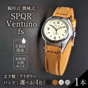 yӂ邳Ɣ[Łzrv @BSPQR Ventuno fs@ՃAC{[yssz | rv v uh SPQR X|[ Y fB[X jp Mtg v[g 蕨 AC{[ XeX