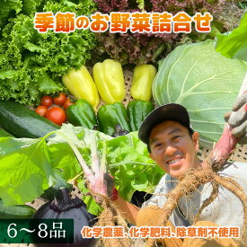 【ふるさと納税】【先行予約】季節のお野菜6～8種セット【6月以降順次発送】 | 詰め合わせ 野菜セット 旬 新鮮 産地直送 とうもろこし レタス キャベツ 人参 ナス トマト 里芋 野沢菜 サツマイモ きゅうり ピーマン カブ 玉ねぎ ほうれん草 春野菜 夏野菜 秋野菜 冬野菜